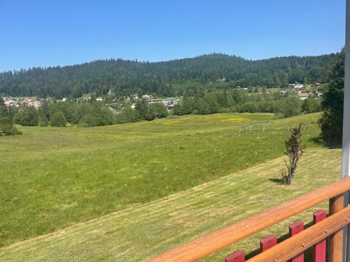 Chalet Le Cedre Bleu 10 P - 10 Min De Gerardmer Le Tholy Esterno foto